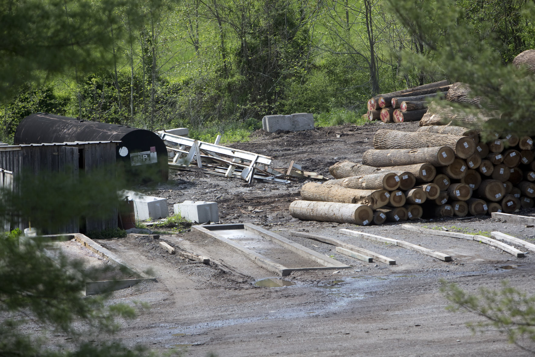Sawmill dust
